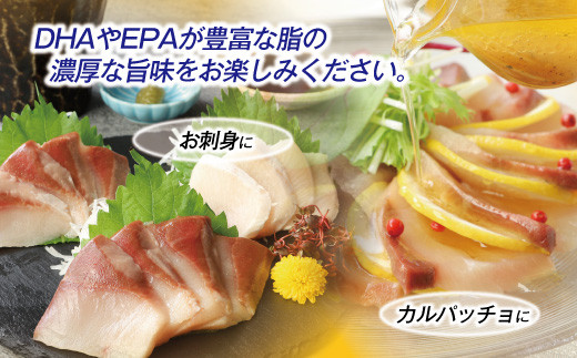 活〆新鮮ぶりフィレ 2枚（半身）　M079-010-02