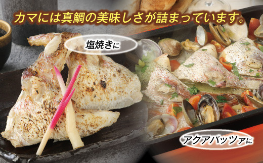 新鮮真鯛カマ （約2kg）　M079-011-02