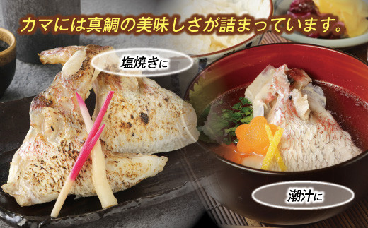 新鮮真鯛カマ干物 （約1kg）　M079-011-03