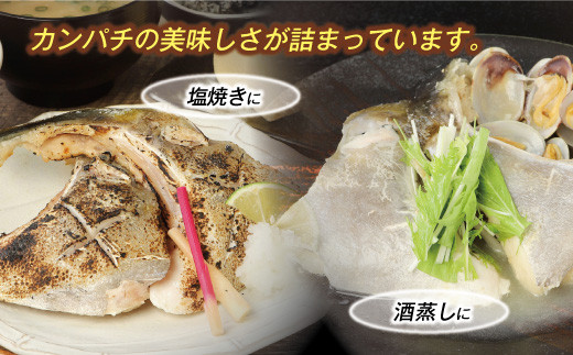 新鮮カンパチ カマ 約1kg　M079-012-01