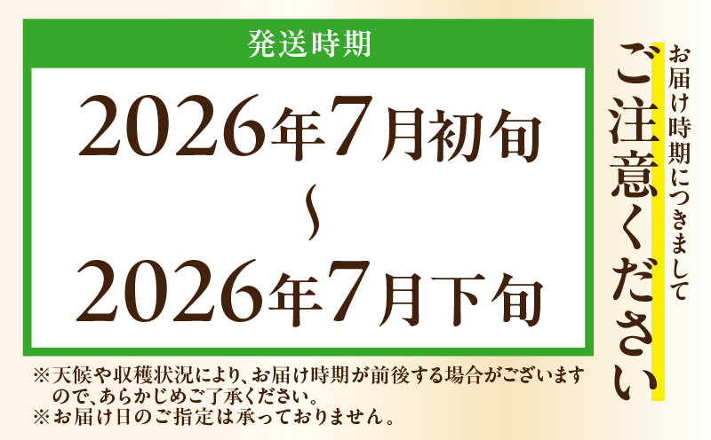 ボリューム満点！季節の野菜詰め合わせ（夏）　M001-004-01