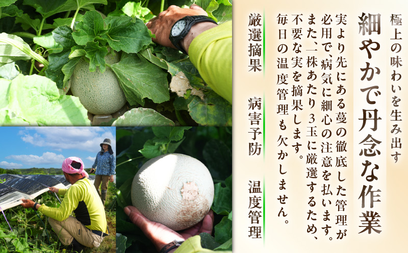 贈答用メロン ボリュームセット　M001-006