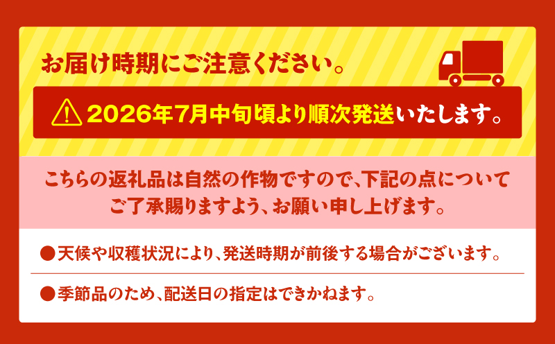 【三浦農家直送】小玉スイカ（4個入り）　M003-001