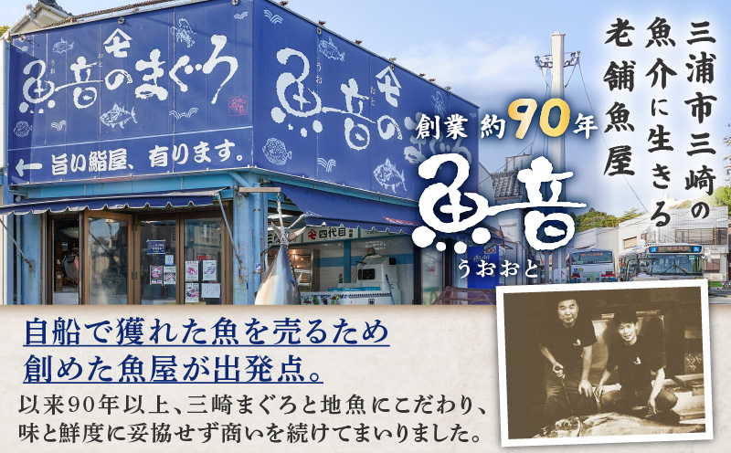 老舗魚屋直営店！まぐろ食堂七兵衛丸ペアお食事券　M006-022-02