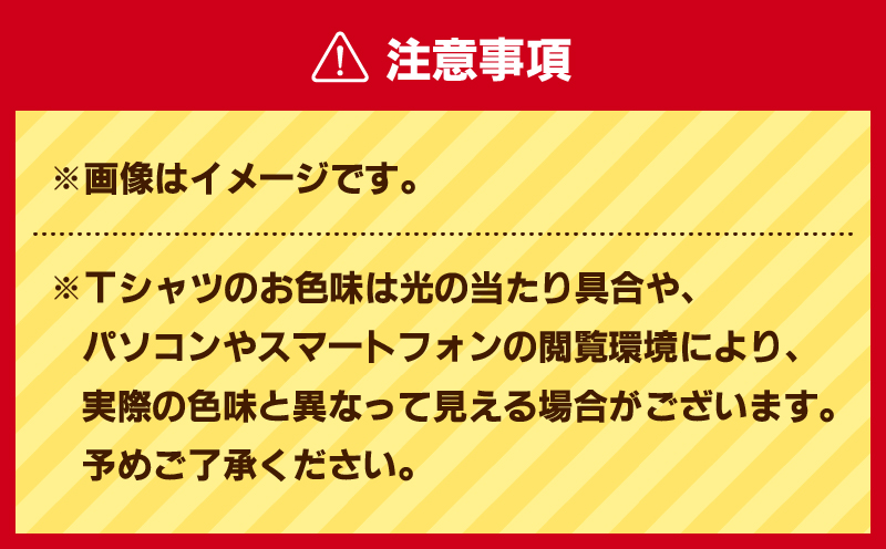 【セット】三浦国際市民マラソン大会記念グッズオリジナルTシャツ（各Lサイズ・三色セット）　M037-016-03