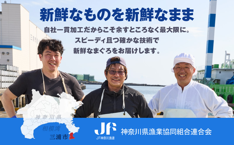【神奈川県漁連】＜小分けパックで使いやすい＞切れてる天然マグロ 100g×10パック　M077-005