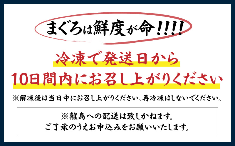 神奈川県漁連 天然本マグロ 中トロ・赤身セット　M077-012-03