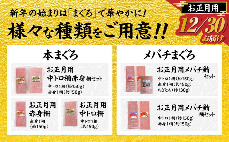【年内発送】神奈川県漁連 天然本マグロ 中トロ・赤身セット【お正月用】　M077-013-03