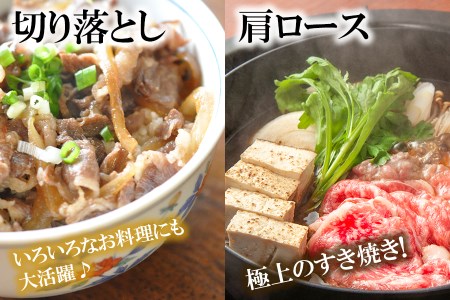 【神奈川県産黒毛和牛】三浦市の佐藤牧場が育てた葉山牛満腹セット（切落し＋肩ロース）　M079-009