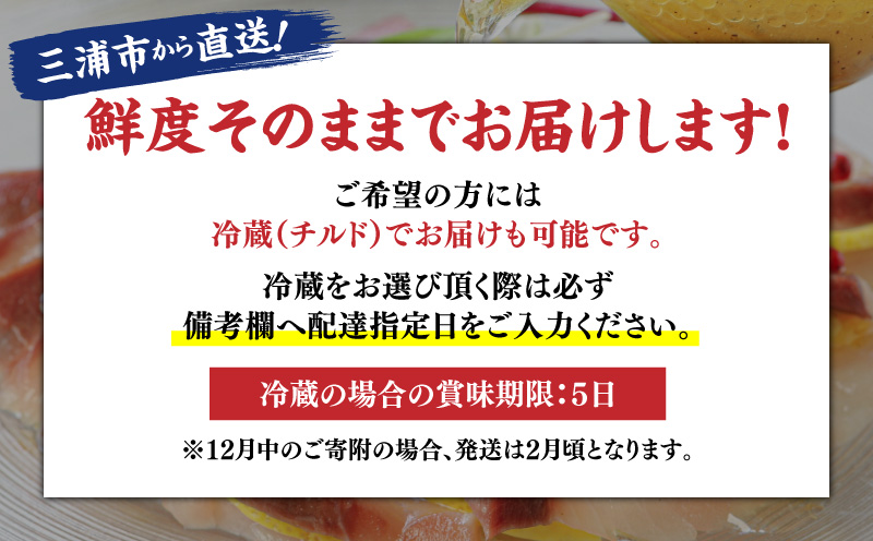 活〆新鮮ぶりフィレ 2枚（半身）　M079-010-02