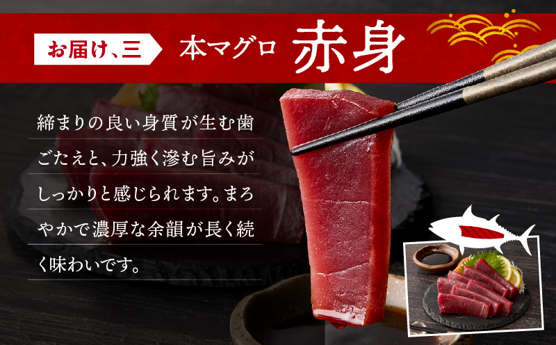 三崎マグロ 鈴木水産 天然本マグロ（大トロ・中トロ・赤身）セット　M105-002