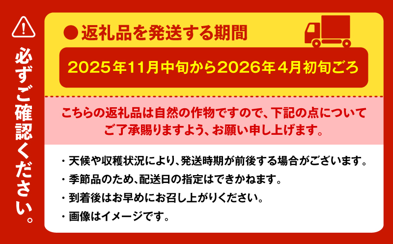 神奈川県三浦市産青首大根 8本　M109-011