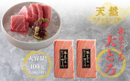 【みんなの心彩る】天然本まぐろ 1.2kg（大トロ400g、中トロ400g、赤身400g）　M020-025-02