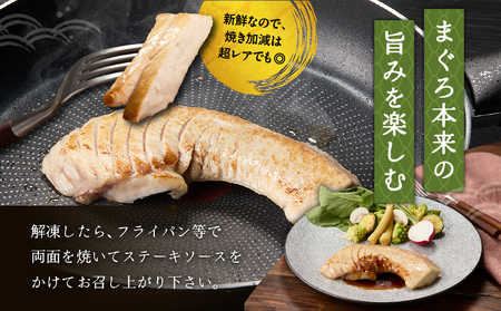 まぐろステーキ　M024-007