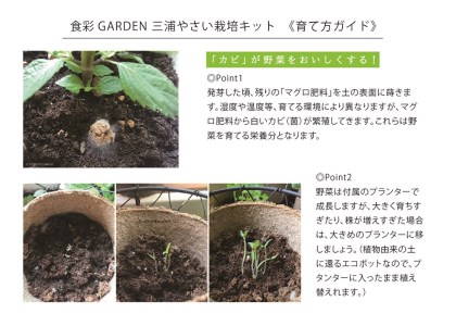 食彩GARDEN三浦やさい栽培キット＆旬野菜　M043-001