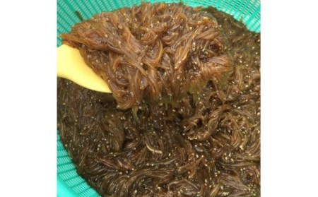 しらす漁師直売！「湘南釜揚げしらす・沖漬けセット」C　M050-003