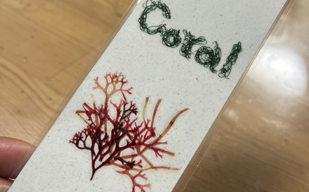 海から出たゴミを利用したシーボーンアート 海藻アート作り体験　M064-007