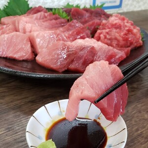 三崎港直送 天然南まぐろ 中トロ・赤身 1kgブロック　M078-001-01