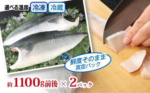 活〆新鮮ぶりフィレ 2枚（半身）　M079-010-02