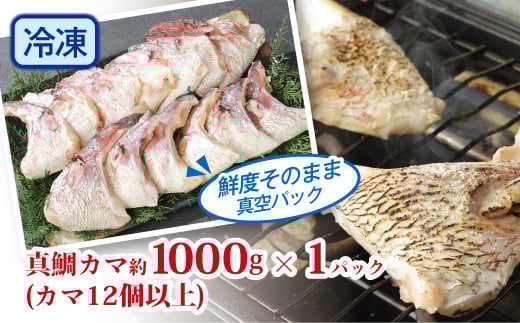 新鮮真鯛カマ （約1kg）　M079-011-01