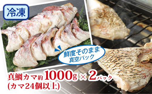 新鮮真鯛カマ （約2kg）　M079-011-02