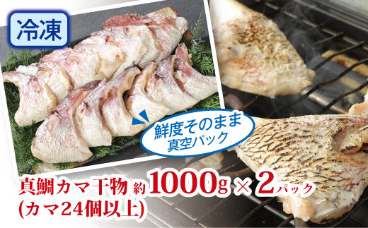 新鮮真鯛カマ干物 （約2kg）　M079-011-04
