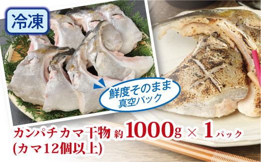 新鮮カンパチ カマ干物 約1kg　M079-012-03
