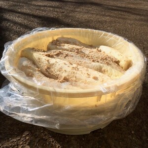 【期間限定・数量限定】三浦のたくあん「まいるど」（小樽10リットル容器入り）　M080-003-01