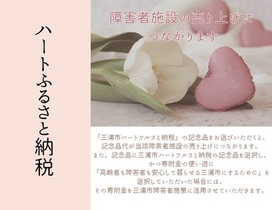 三浦創生舎のいちばん餃子（ハートフルさと納税）　M101-001