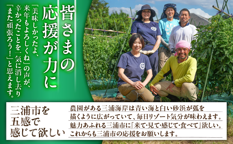 王様トマト贅沢セット　M001-003