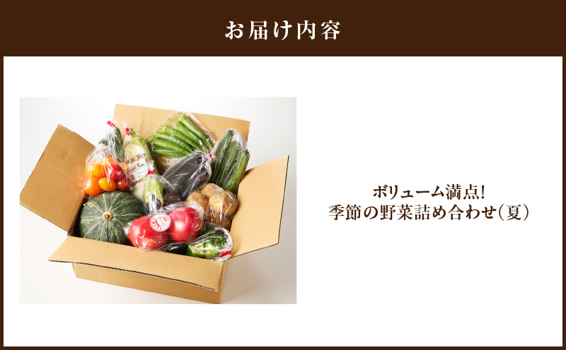 ボリューム満点！季節の野菜詰め合わせ（夏）　M001-004-01