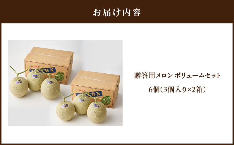 贈答用メロン ボリュームセット　M001-006