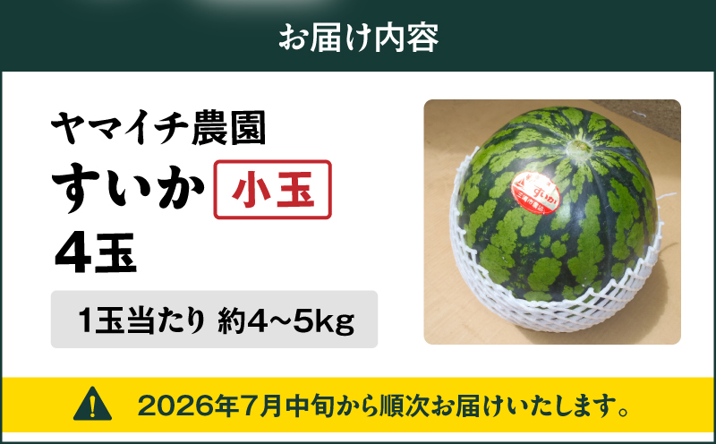 【三浦農家直送】小玉スイカ（4個入り）　M003-001