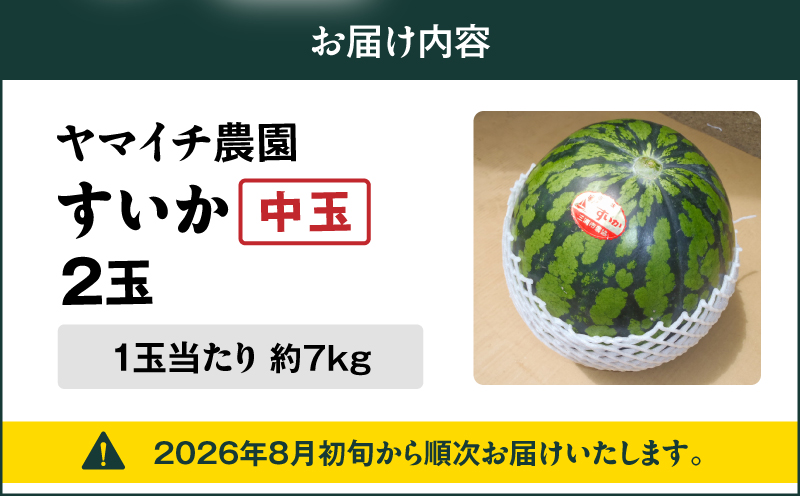 【三浦農家直送】中玉スイカ（2個入り）　M003-002