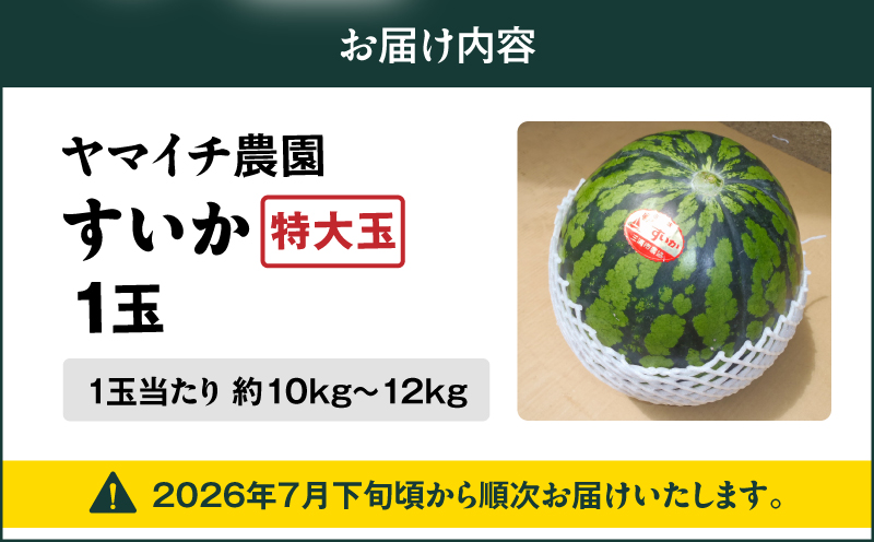 【三浦農家直送】特大玉スイカ（1個入り）　M003-004