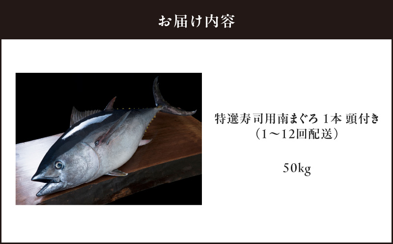 【定期便】特選寿司用南まぐろ 1本 頭付き（1～12回配送）　M005-T08