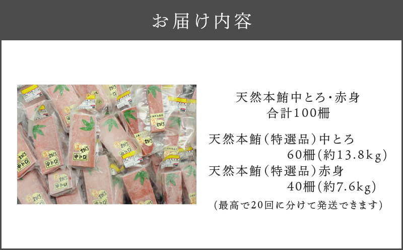 天然本鮪中とろ・赤身 合計100柵　M007-008-03