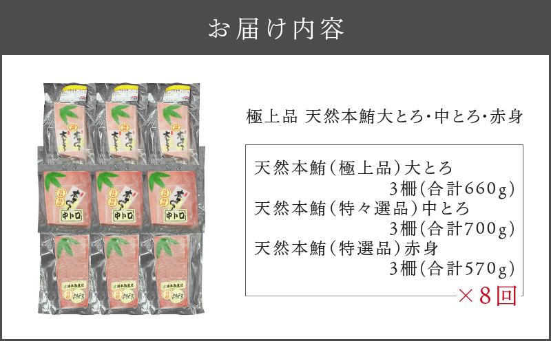 【全8回定期便】極上品天然本鮪大とろ3柵・中とろ3柵・赤身3柵　M007-T04