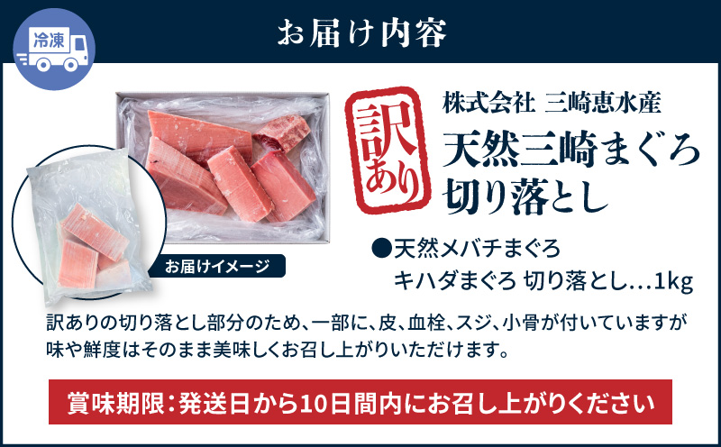 ＜選べる＞＜訳あり＞天然三崎まぐろ 1kg たっぷり10人分！不揃い赤身　M020-013