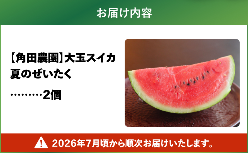 【高糖度】三浦の大玉スイカ2玉【露地栽培】　M072-001-02