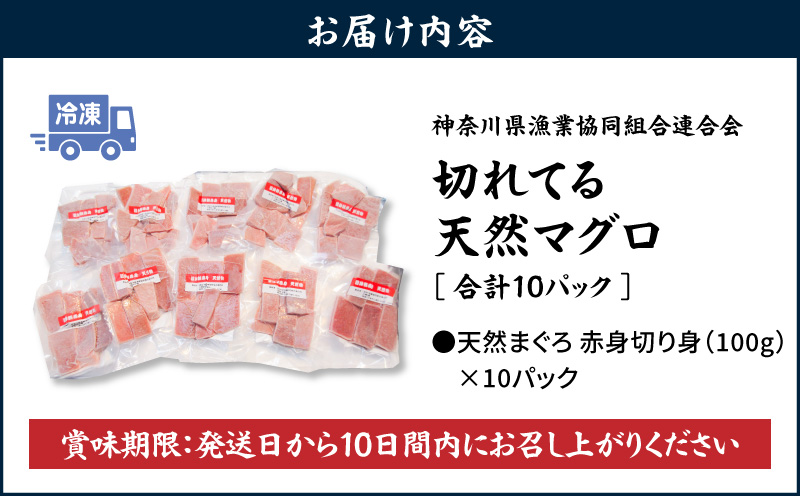 【神奈川県漁連】＜小分けパックで使いやすい＞切れてる天然マグロ 100g×10パック　M077-005