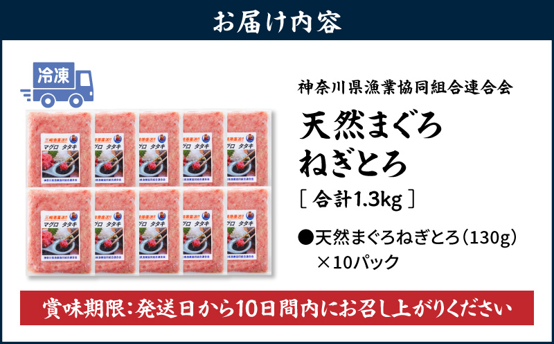 【神奈川県漁連】＜お徳用＞天然まぐろ ねぎとろ 1.3kg（130g×10P）　M077-007