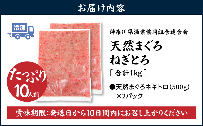 【神奈川県漁連】＜お徳用＞天然まぐろ ねぎとろ 1kg（500g×2P）　M077-011-02