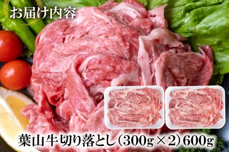 【神奈川県産黒毛和牛】三浦市の佐藤牧場が育てた葉山牛 切り落とし2P　M079-006-01