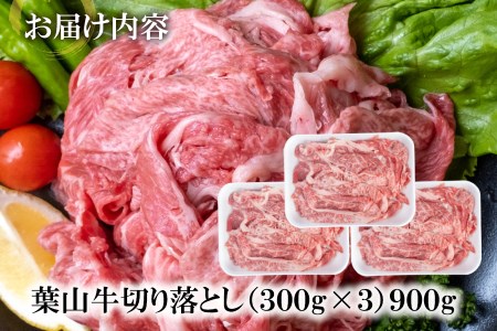 【神奈川県産黒毛和牛】三浦市の佐藤牧場が育てた葉山牛 切り落とし3P　M079-006-02