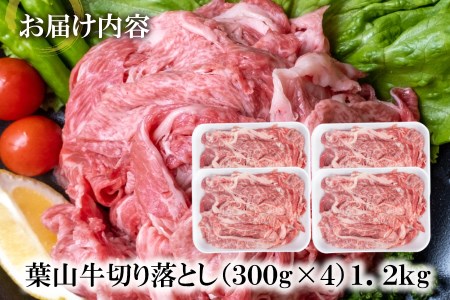 【神奈川県産黒毛和牛】三浦市の佐藤牧場が育てた葉山牛 切り落とし4P　M079-006-03