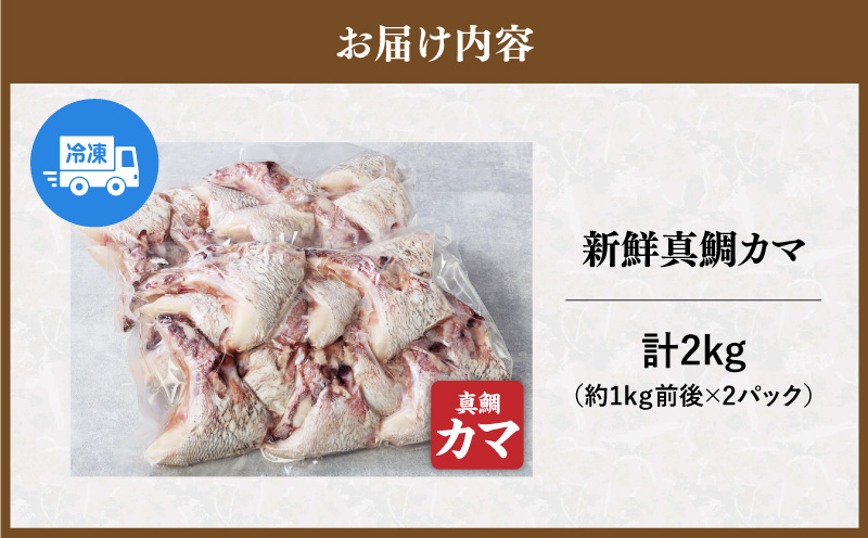 新鮮真鯛カマ （約2kg）　M079-011-02