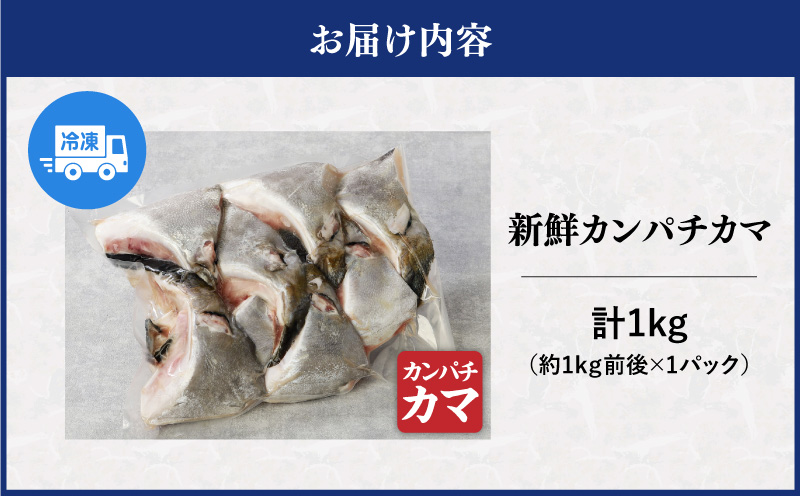 新鮮カンパチ カマ 約1kg　M079-012-01