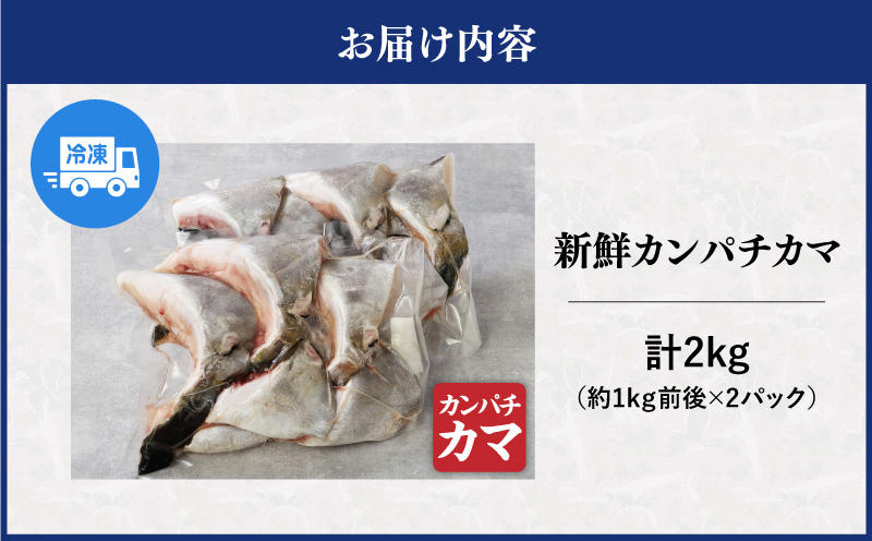 新鮮カンパチ カマ 約2kg　M079-012-02