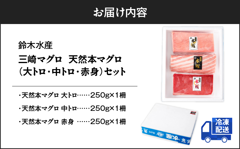 三崎マグロ 鈴木水産 天然本マグロ（大トロ・中トロ・赤身）セット　M105-002